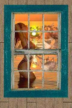 Portal - Window 