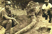 Dung and the Wounded Mastodon